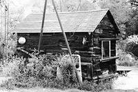 The old pig shed.