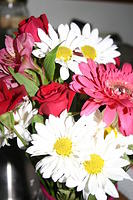 Mom's flowers