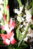 My flowers