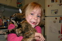 February 15, 2006