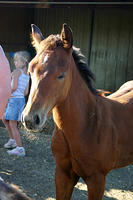 IMG_6233a