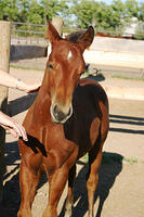 IMG_6236a.jpg