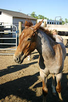 IMG_6243a