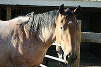 IMG_6246a.jpg