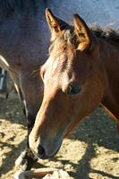 IMG_6253a