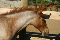 IMG_6264a