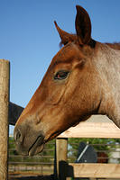 IMG_6270a