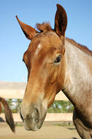 IMG_6274a