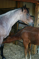 IMG_6283a