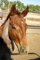 IMG_6287a