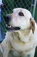 IMG_6290a