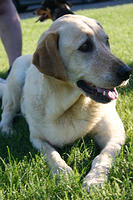 IMG_6296a