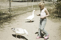 IMG_3961s