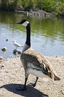 IMG_3980a