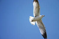 IMG_3997a