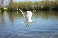 IMG_4010a