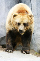 IMG_4469sm