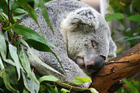 IMG_4496sm