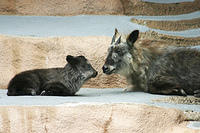 IMG_4527sm