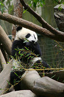IMG_4563a