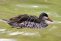 IMG_4610a