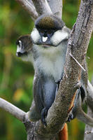 IMG_4712sm