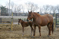 IMG_9047a