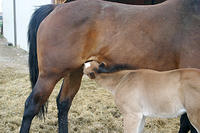 IMG_9057a