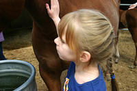 IMG_9074a