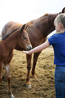 IMG_9080a