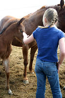 IMG_9082a