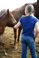 IMG_9083a