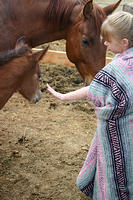 IMG_9088a