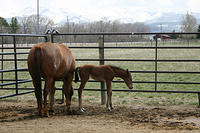 IMG_9101a