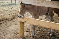 IMG_9103a