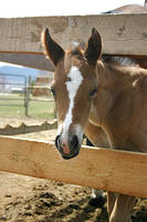 IMG_9106a