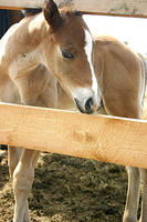IMG_9107a