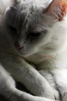 IMG_0681a