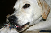 IMG_8539a