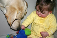 Lily going for another of Joleigh's toys