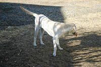 IMG_8504a