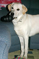 IMG_8506a