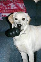 IMG_8507a