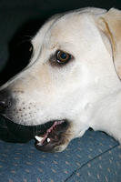 IMG_8508a
