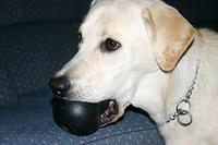 IMG_8509a