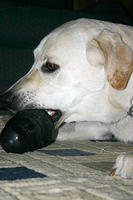 IMG_8510a
