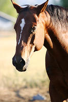 IMG_9720a