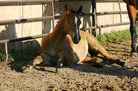 IMG_9722a