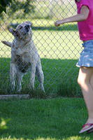 IMG_9729a
