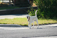 Sunny!